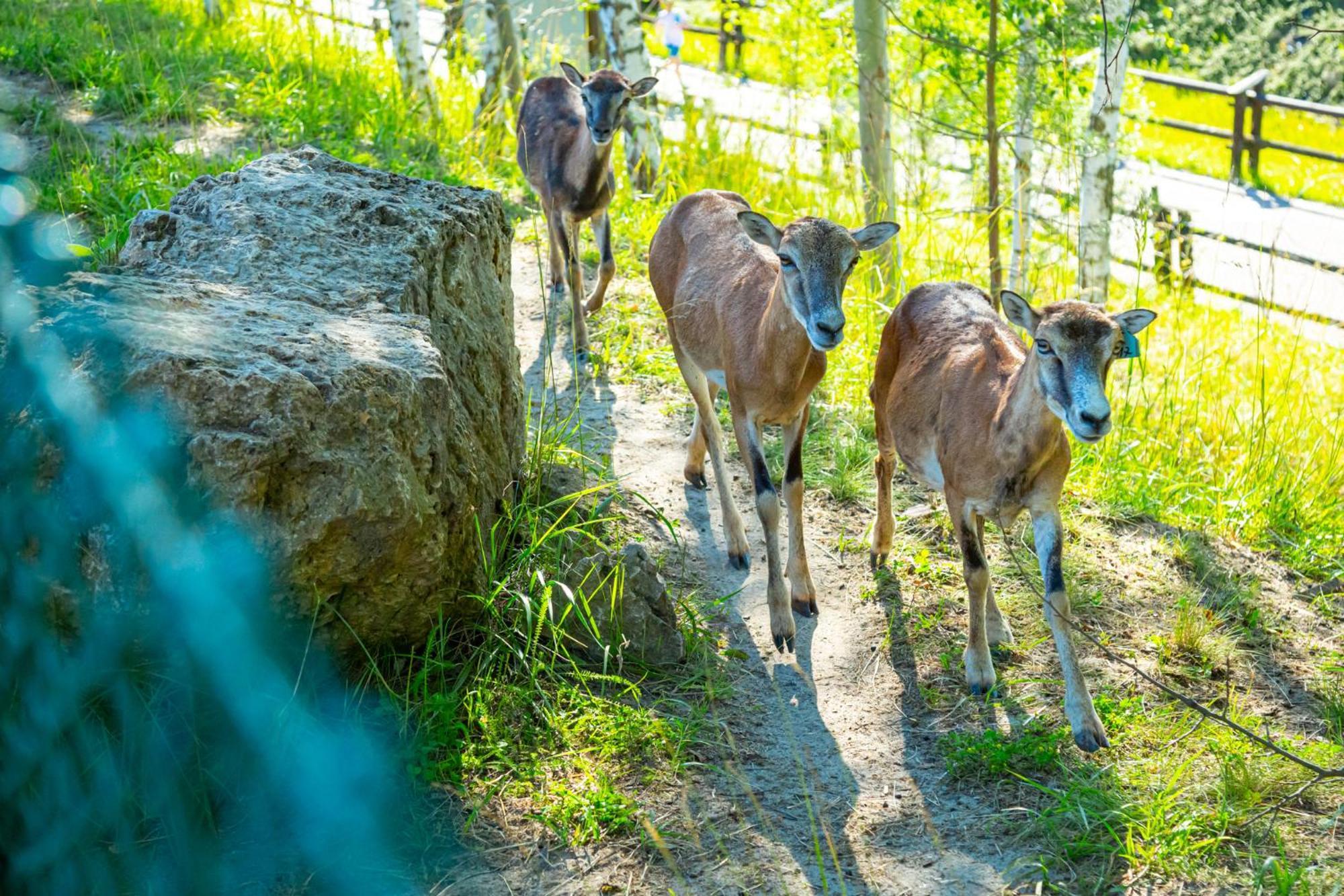 Noclegi Jurapark Krasiejow Bagian luar foto